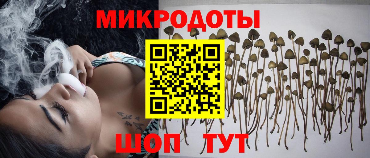 Вятские Поляны  Псилоцибиновые грибы GOLDEN TEACHER  Вход с VPN 